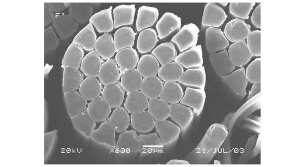 可持續、新工藝，世界非織造行業的創新趨勢與發展機會